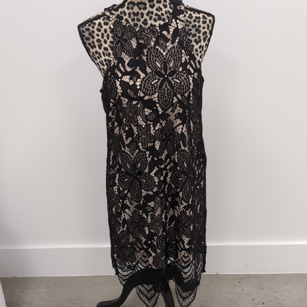 Express Black Lace Midi Dress